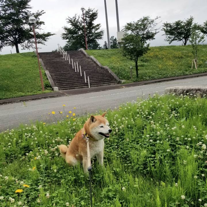 2d6acac0 31b5 4bd3 a0c4 fc3bcb50a11a 1686805680792