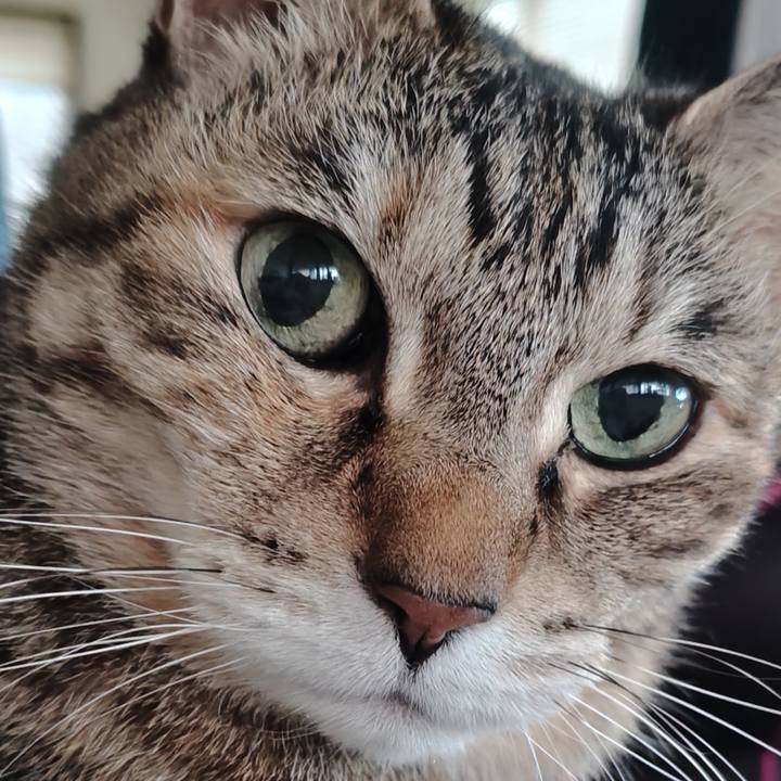 2d6af3a3 b085 483c 80de 035acc4efe34 1768287505585