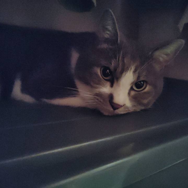 2d6b037d f8da 4b1a b44c 27992d076ed5 1721649380564