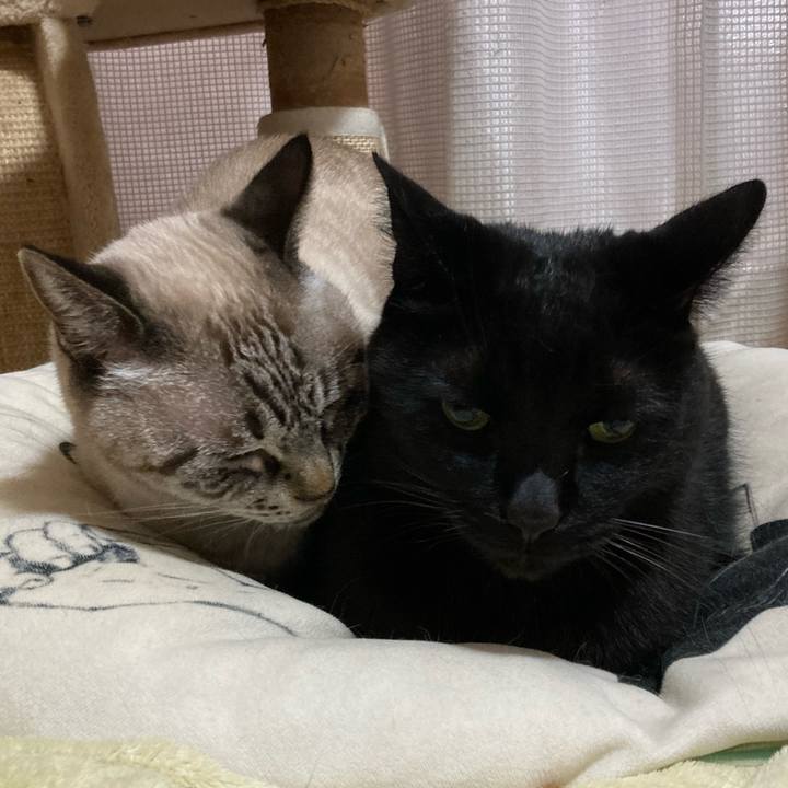 2d6b45aa 9119 4a0f 8dad b314c84df6aa 1766018821181