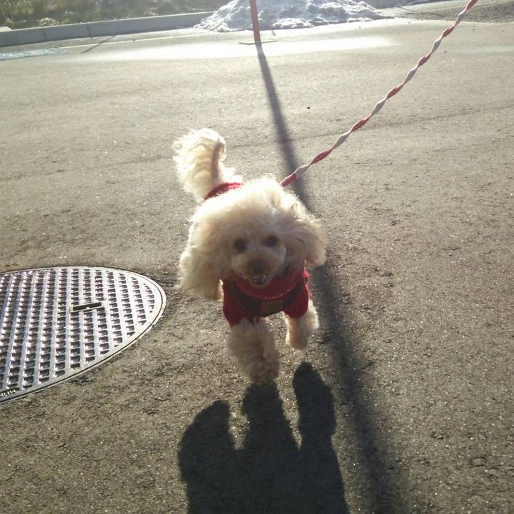 2d6b8082 1185 47f0 9ce7 0c8a520d0311 1514882912511