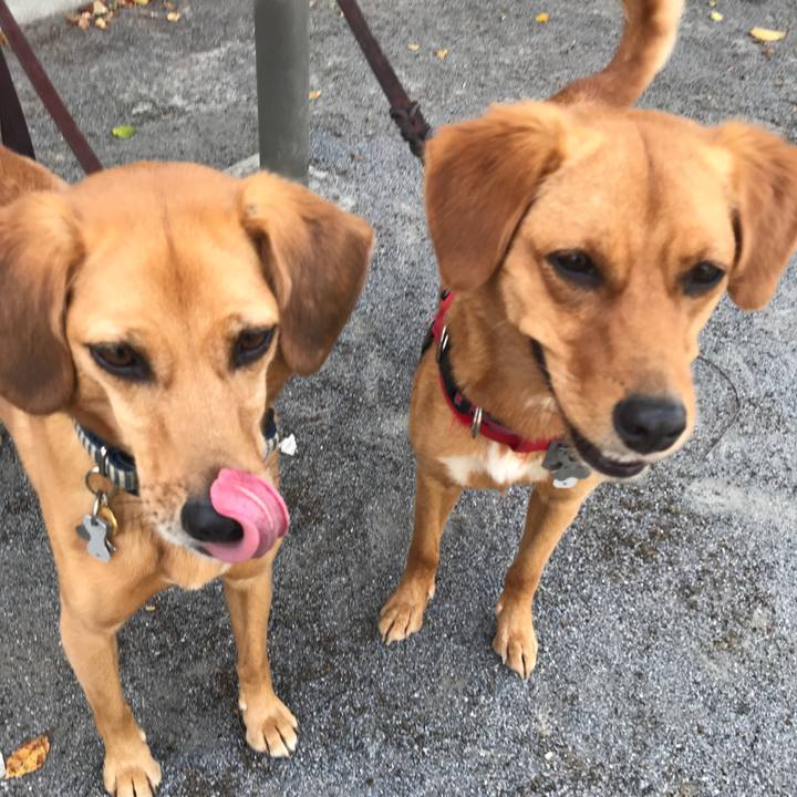 2d6bdf80 fd34 4c15 9e0d d12b44dd4a49 1532994315146