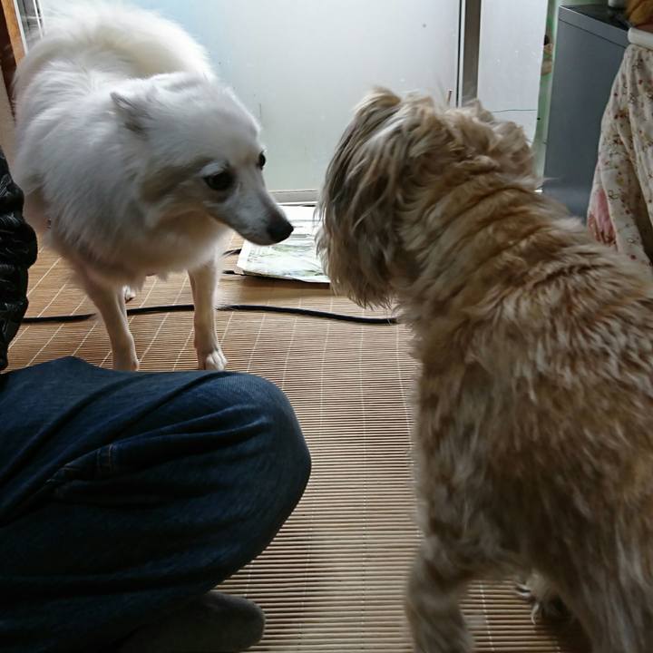 2d6bf67d c9c1 4c9c bcc1 eba8c3e2117f 1510547683301