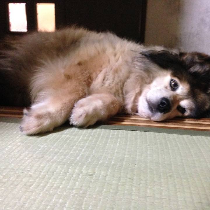 2d6c0b3b e0e7 4940 81c7 5b0784ede94f 1559484207342