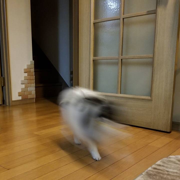 2d6c3f88 dff8 4ba5 86c9 5c3b4e3cb0ee 1523788253367