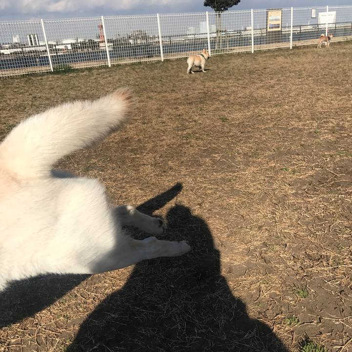 2d6c53d9 b805 4648 a532 935d5d204485 1518421654983