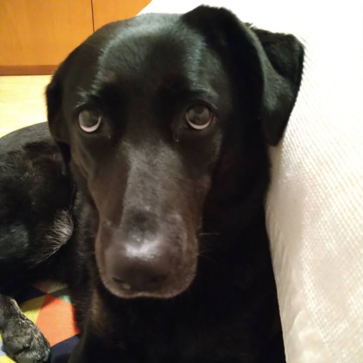 2d6c571d c716 4a29 b2c7 2adaa424c2ab 1606569502123