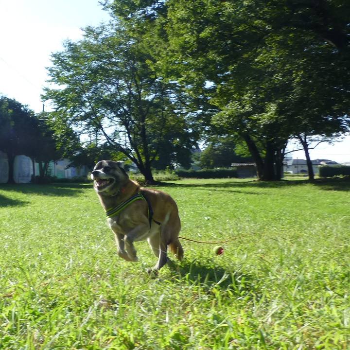 2d6c7122 d2bf 4574 ad42 e5fc13e0290d 1580691469413