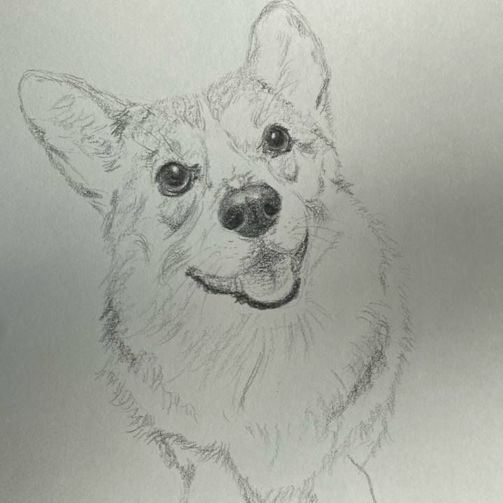 2d6cb477 8560 4dae a2d2 dbc6fc5d23e5 1643867001523