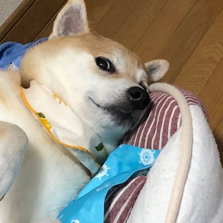 2d6cbb86 0e4b 43f9 a7d9 f46fe44d38c6 1569475081130