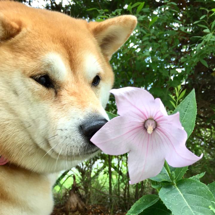 2d6ccb2f 6ad3 4d6a 8d6c b5af57de7638 1530069881485