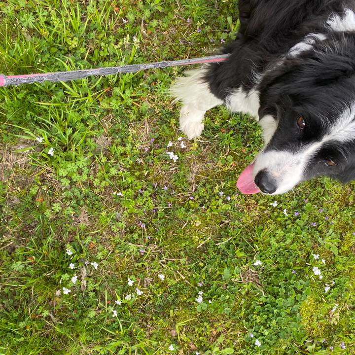 2d6d04a3 9b91 4a9c 9dd0 3b809607da0f 1711865400117