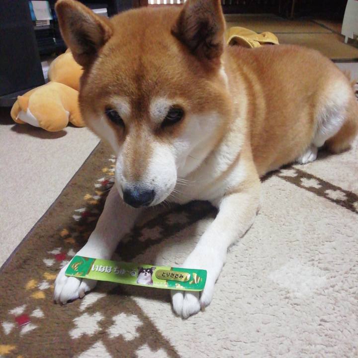 2d6db5f2 92f1 4cfa 91fe 0e5b64676b88 1604893593797