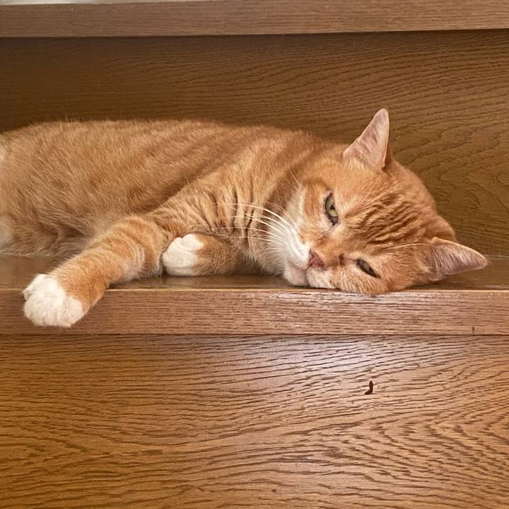 2d6dd9c4 b71a 475f 8dd1 4c1914d1b11d 1752978127497