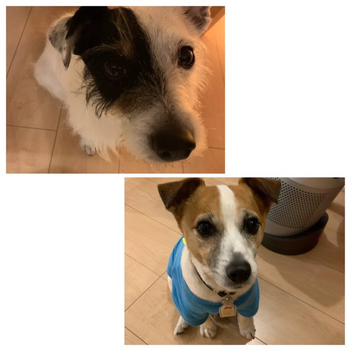 2d6df999 9735 410f b4b0 6795e2859acc 1618051917290