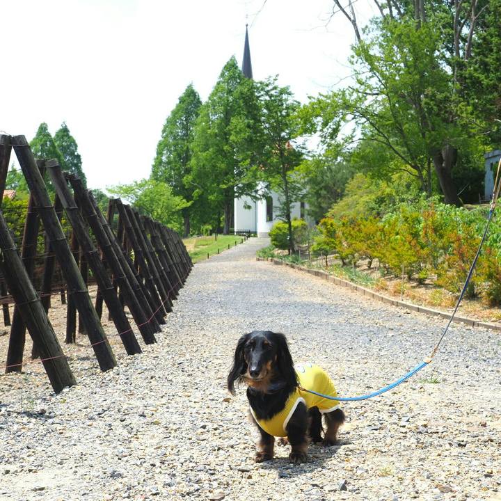 2d6dff1a 0832 4daa 9b0a 979a1536e282 1557726312125