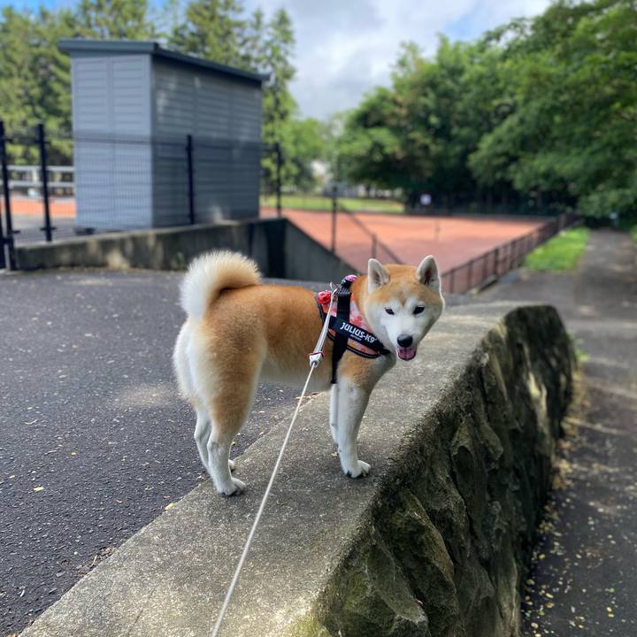 2d6e0b4b 0823 46e1 b990 9ccb8397ac77 1719928826442