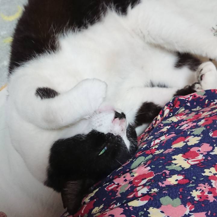 2d6e60e4 4e93 49fe b5d6 d4f10ccef9b0 1538784118467