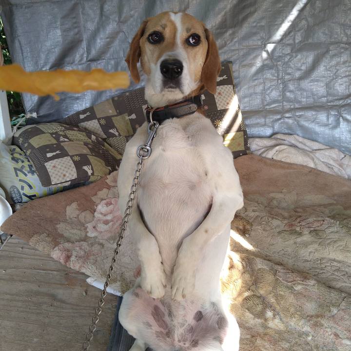 2d6e6520 77ef 4898 a34b 30a67f2a0d0a 1654870522942