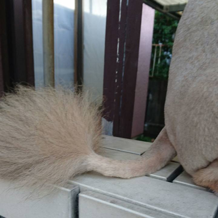 2d6e8184 3f9d 4fec bdb5 28c4923fe642 1528366770336