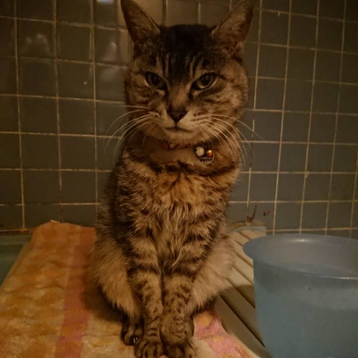 2d6e8c46 1bf2 4ce9 88a0 c1a52e4ea793 1585216029176