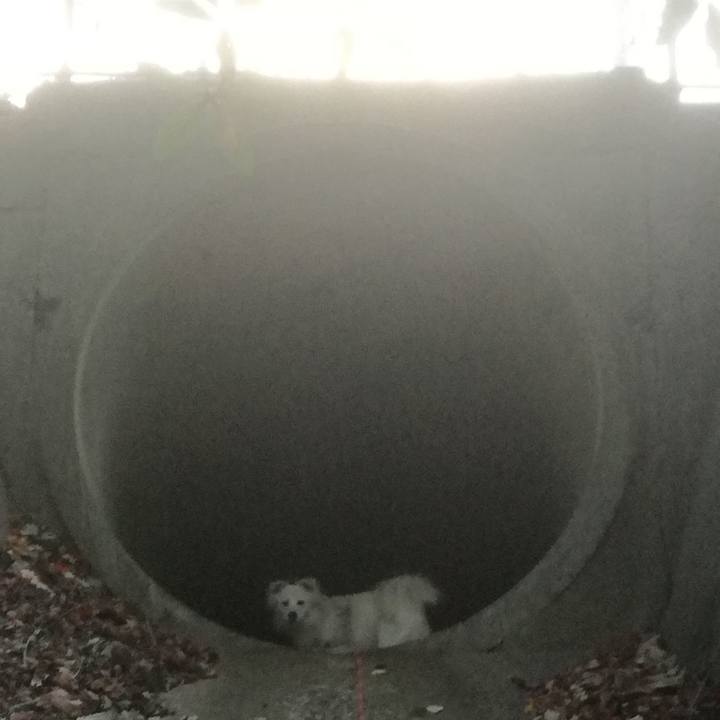 2d6eb48e 9dc6 4a17 a20f d17cf44e8d81 1511599601182