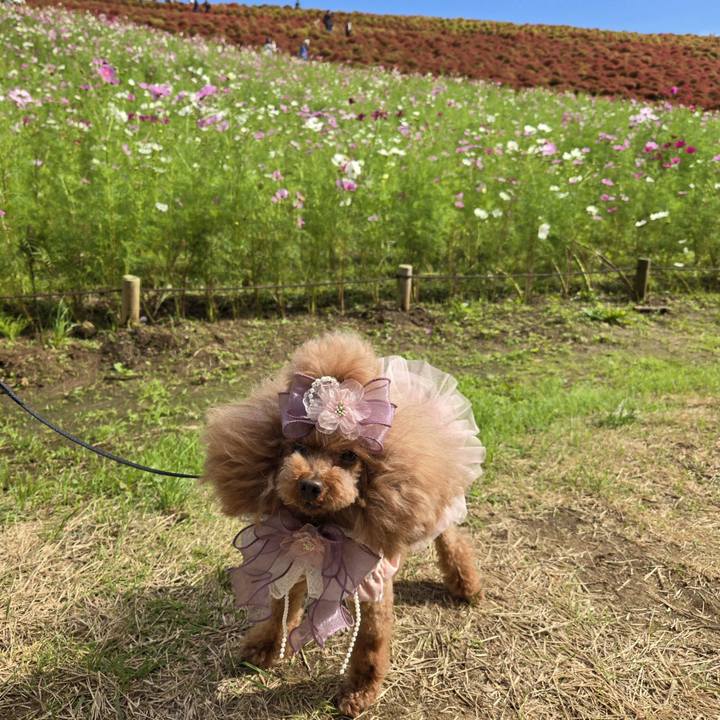 2d6ebb67 2d89 4bd7 929a f1351ed5c5f9 1760701778073