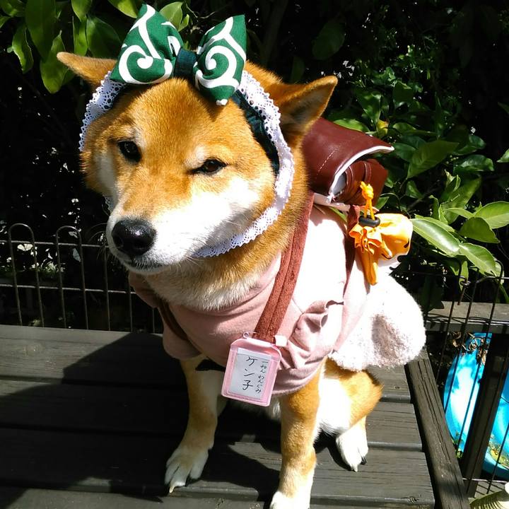 2d6ece94 fe40 46bd bc94 df99cf9f526b 1523419036950