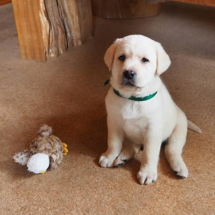 2d6f052e 7ab5 49eb 958c cd05bbcb363c 1615118632368