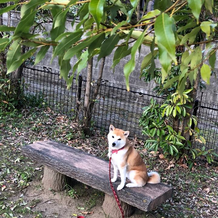 2d6f1b3e b77c 48b9 83fa e0b7998ed429 1553695660896