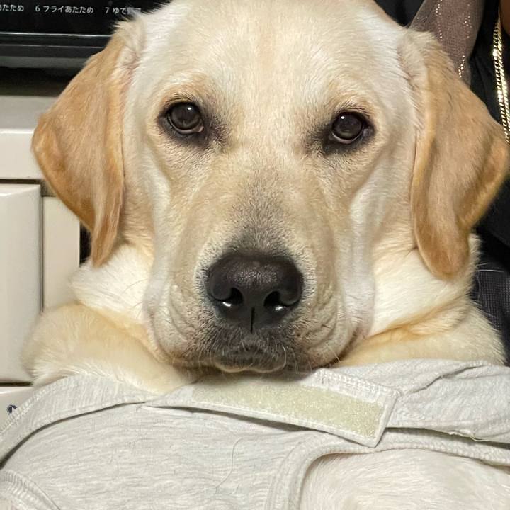 2d6f25f7 9a58 43e8 b32f c3efbc151cec 1636793055802