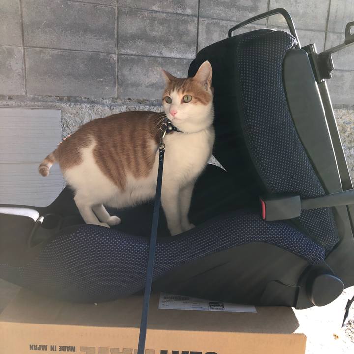 2d6f269b 6e54 4d37 9896 963de1ae77e4 1542962312119