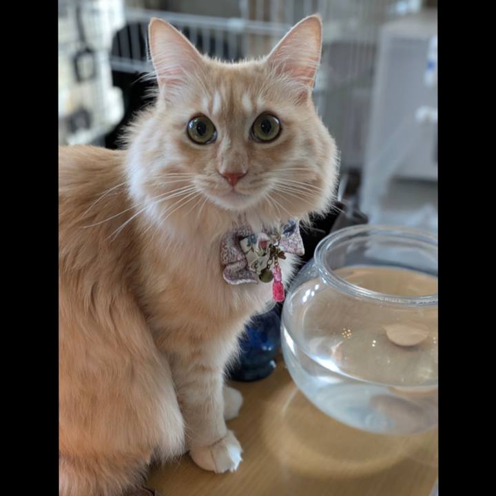 2d6f60cb 3e93 419f 93aa 27577a1be049 1765845986483