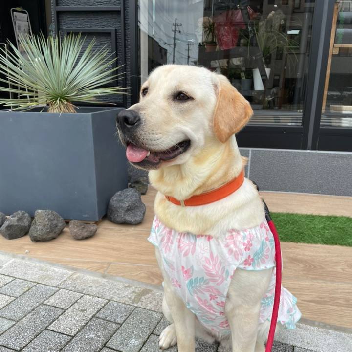 2d6f62d6 b0b2 4ae5 a709 caad922f1acb 1632721960929