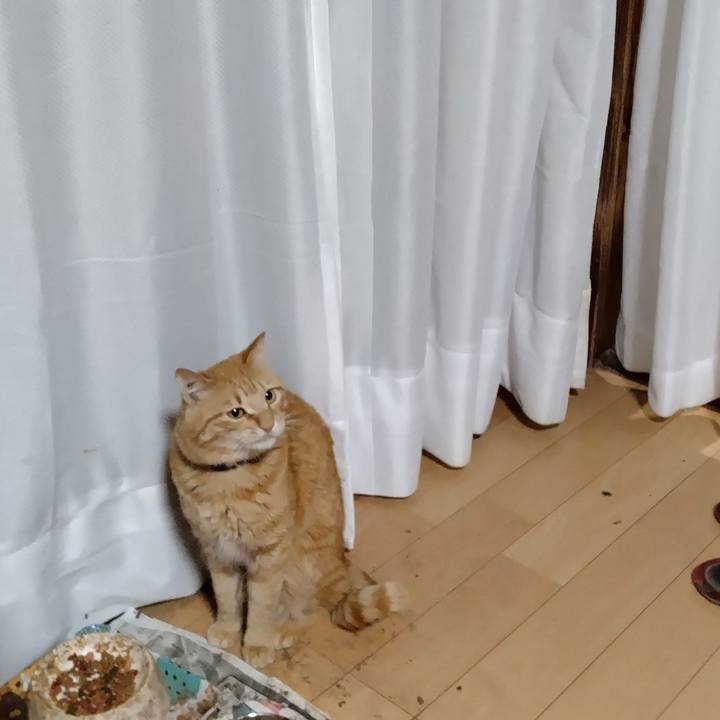 2d6f78fb 1e1f 4687 9961 0a6cde51d076 1681685141381