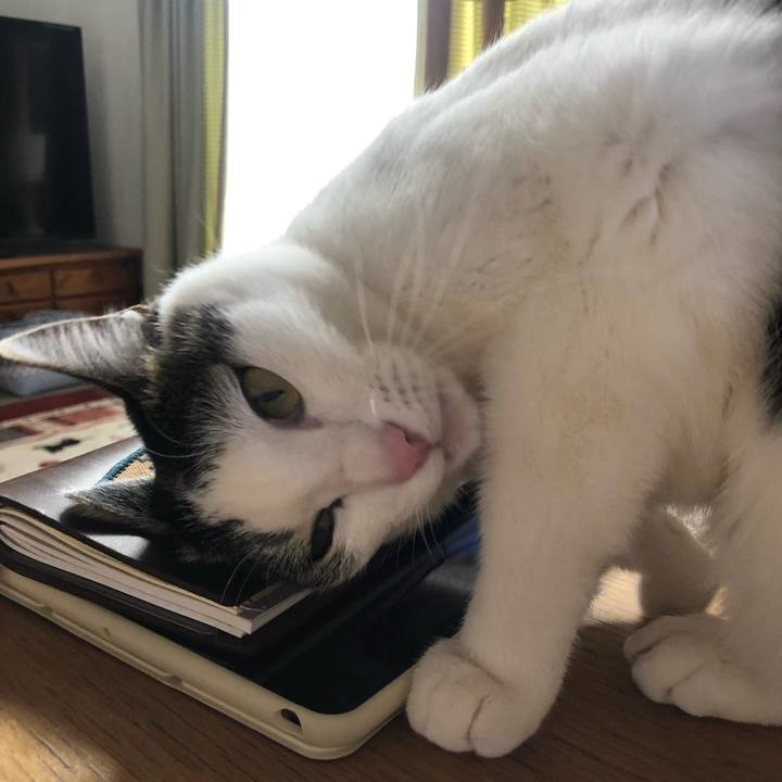 2d6fbf4e bc5d 4051 91e3 7536d213926d 1708920172980