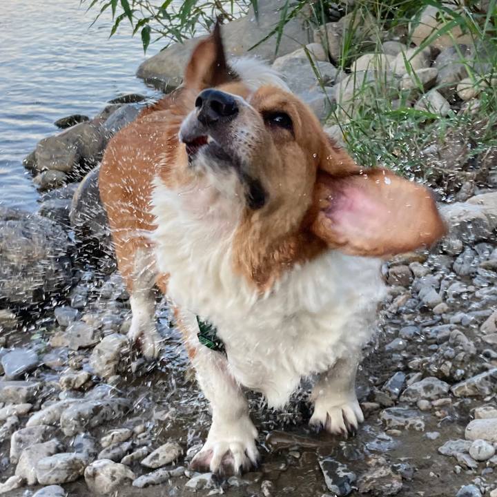 2d6fc1e7 ef30 400d b051 36e51d603e44 1694649711354