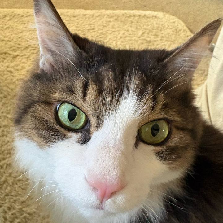 2d6fc9ad 82ba 42e0 8cab 9581ec80dff7 1769817473731