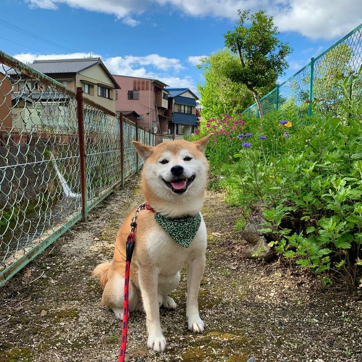 2d6fd176 1219 43c4 8087 9d7e1624e6ff 1654597631174