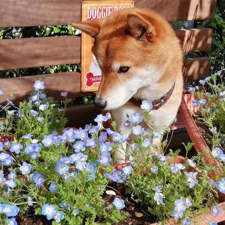 2d6fda8b f152 4ea1 83a4 cf20999f2dff 1618987124675