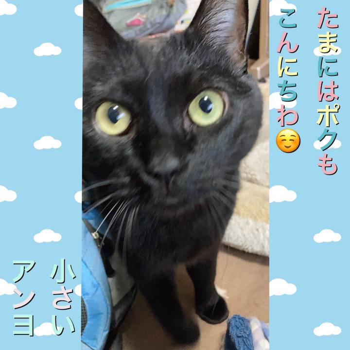 2d700b60 84ae 41c4 b3e1 9e36d4059bb8 1649549546840