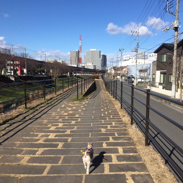 2d701cc8 2ebe 454f a278 c6dbfb3efeda 1545971599575