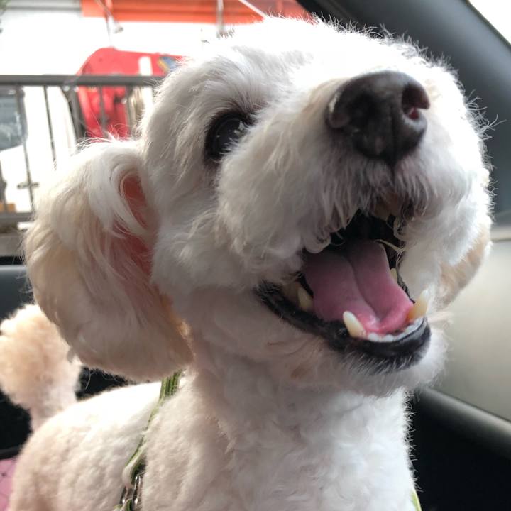 2d7067a1 3773 43e3 a985 c731284db38f 1532086230524