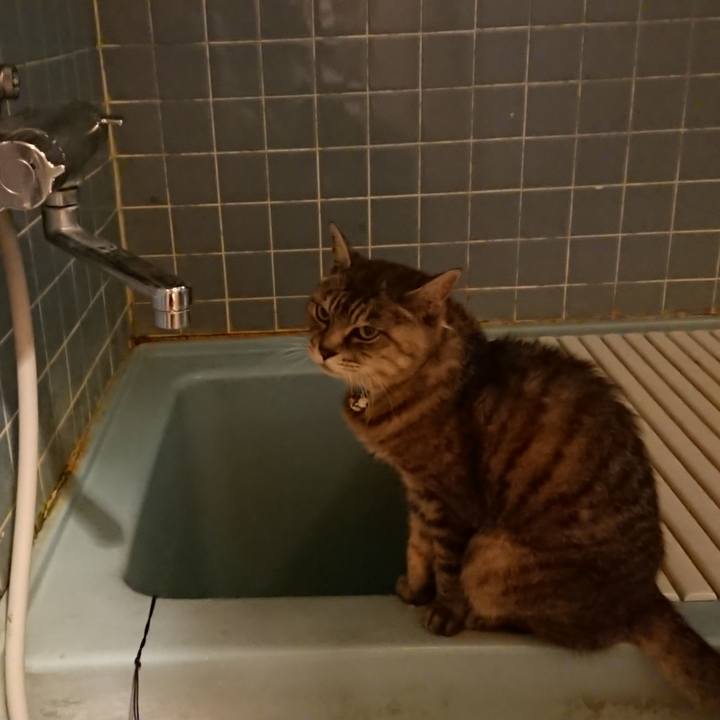 2d70b236 0622 499a 8426 30e7a7f38e5e 1569664587219