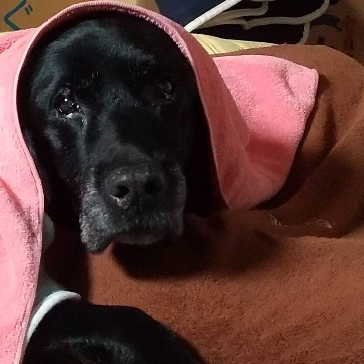 2d70b560 cd78 45b4 89fe 99c9d2d16055 1701391558274