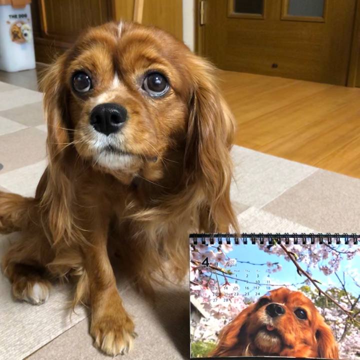 2d70ca9d 4f03 491b bade 7fc5c10345cf 1585692011163