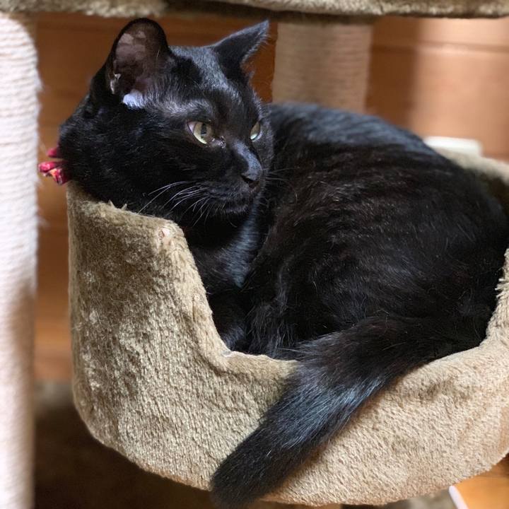 2d70d31e 5d8b 4e3f bc6c aa83f58266b0 1559563147633