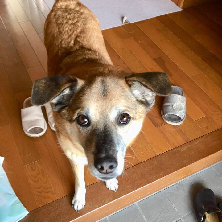 2d70e102 2b93 412b aaf1 397a165176ee 1582166284856