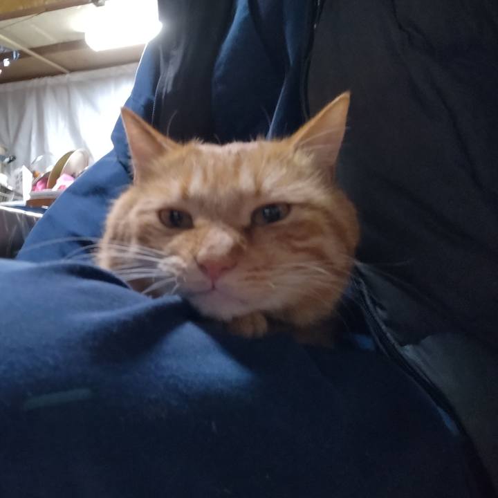 2d710ea7 b368 4f40 87e4 e5f084e4a89f 1700136864125