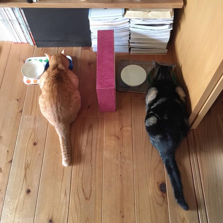 2d7115e7 9225 4601 9383 88bb23841682 1547560835882